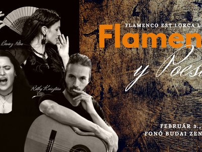 Flamenco (7).jpg